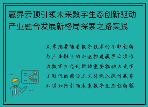 赢界云顶引领未来数字生态创新驱动产业融合发展新格局探索之路实践